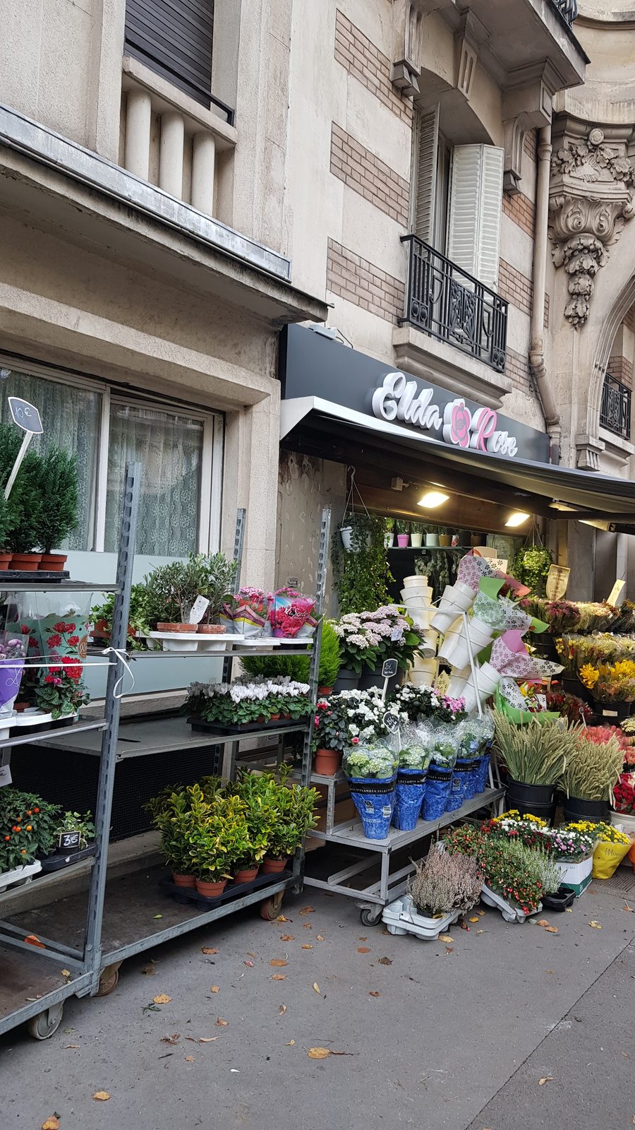 Enseigne Elda Rose vue de trois quarts, chariots de plantes et seaux de fleurs devant la boutique