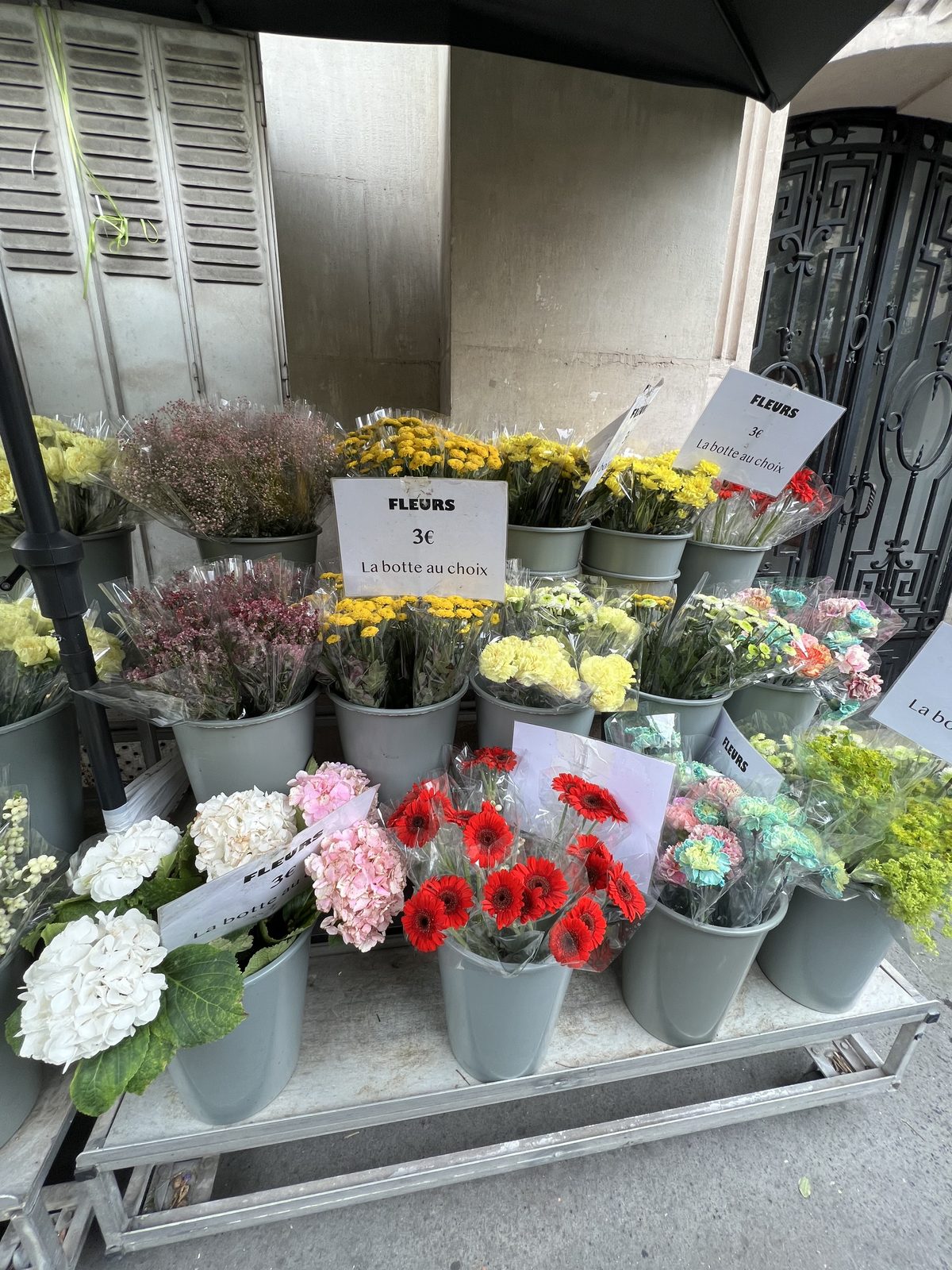 Bottes de gerberas, hortensias et chrysanthèmes sur l’étal, avec leurs pancartes