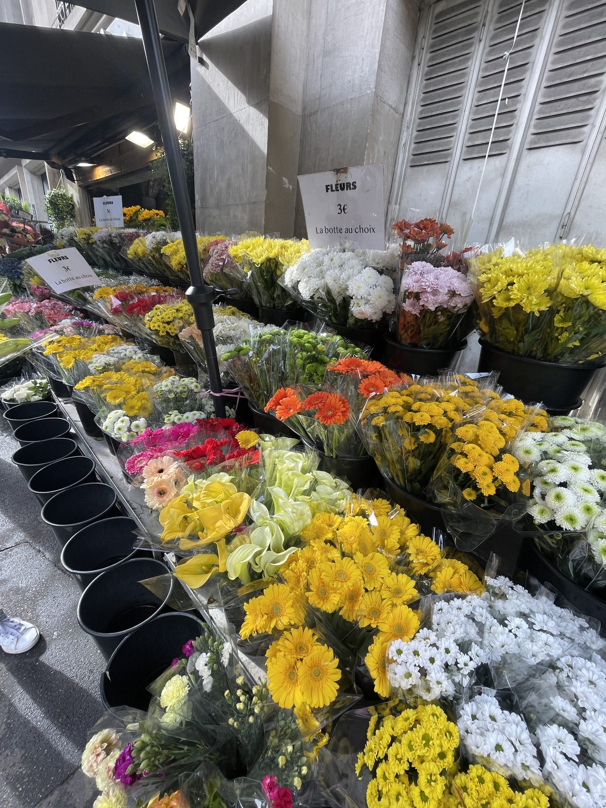 Rangées de seaux de fleurs de toutes les couleurs sur l’étal