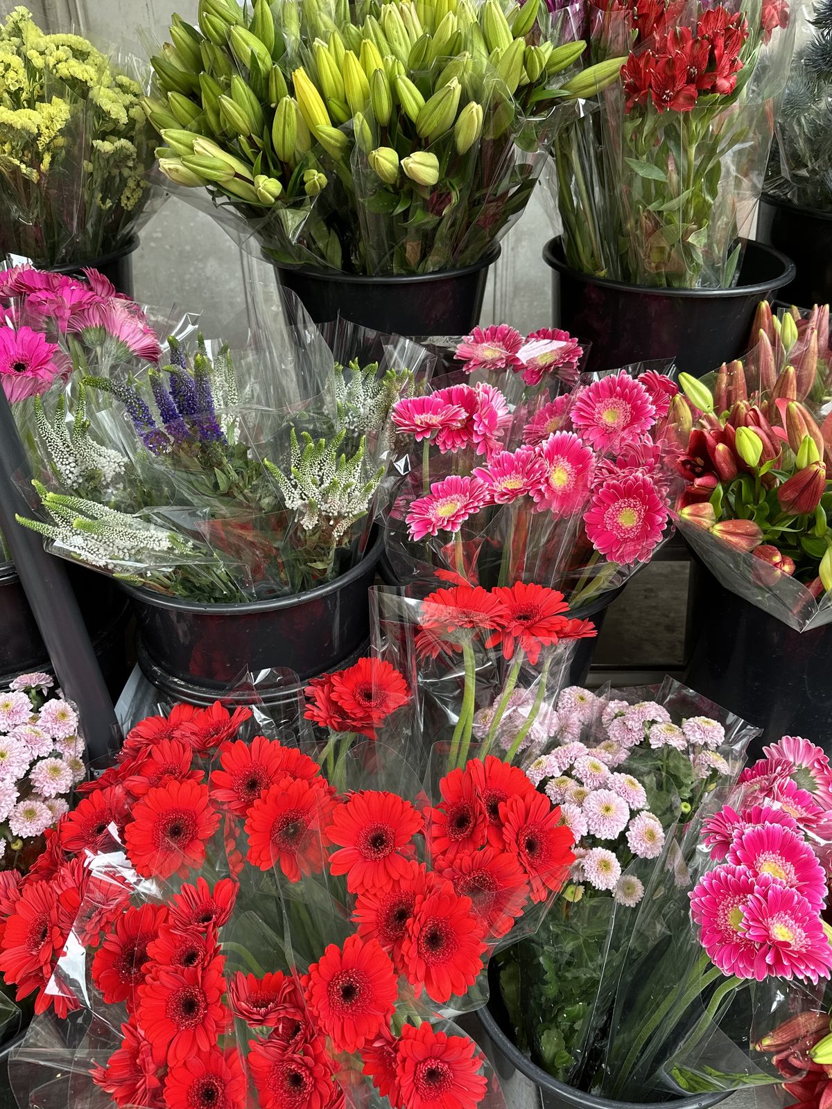 Gerberas rouges et roses en bottes sur l’étal