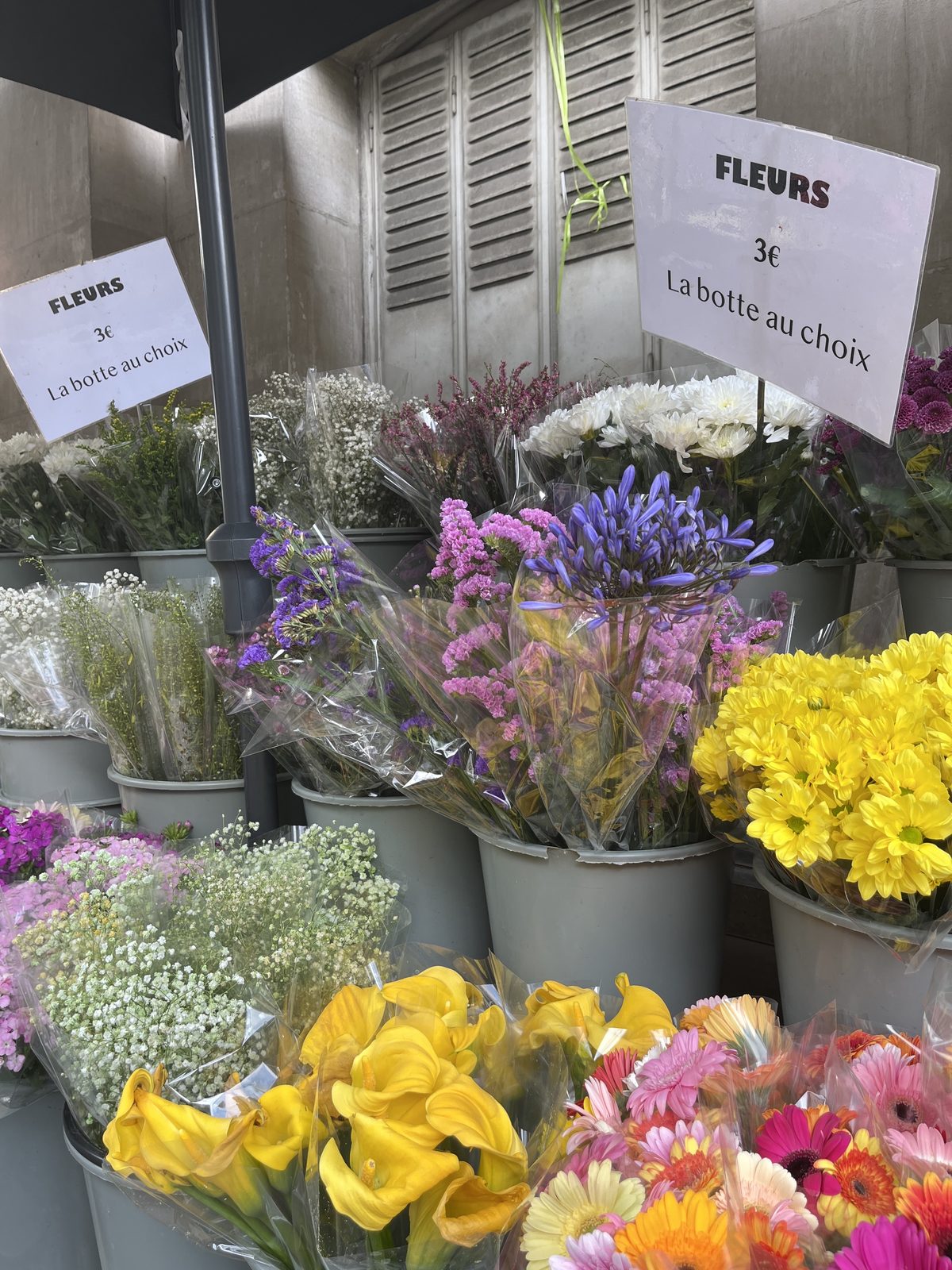 Seaux de fleurs sur l’étal, pancarte « fleurs, la botte au choix »