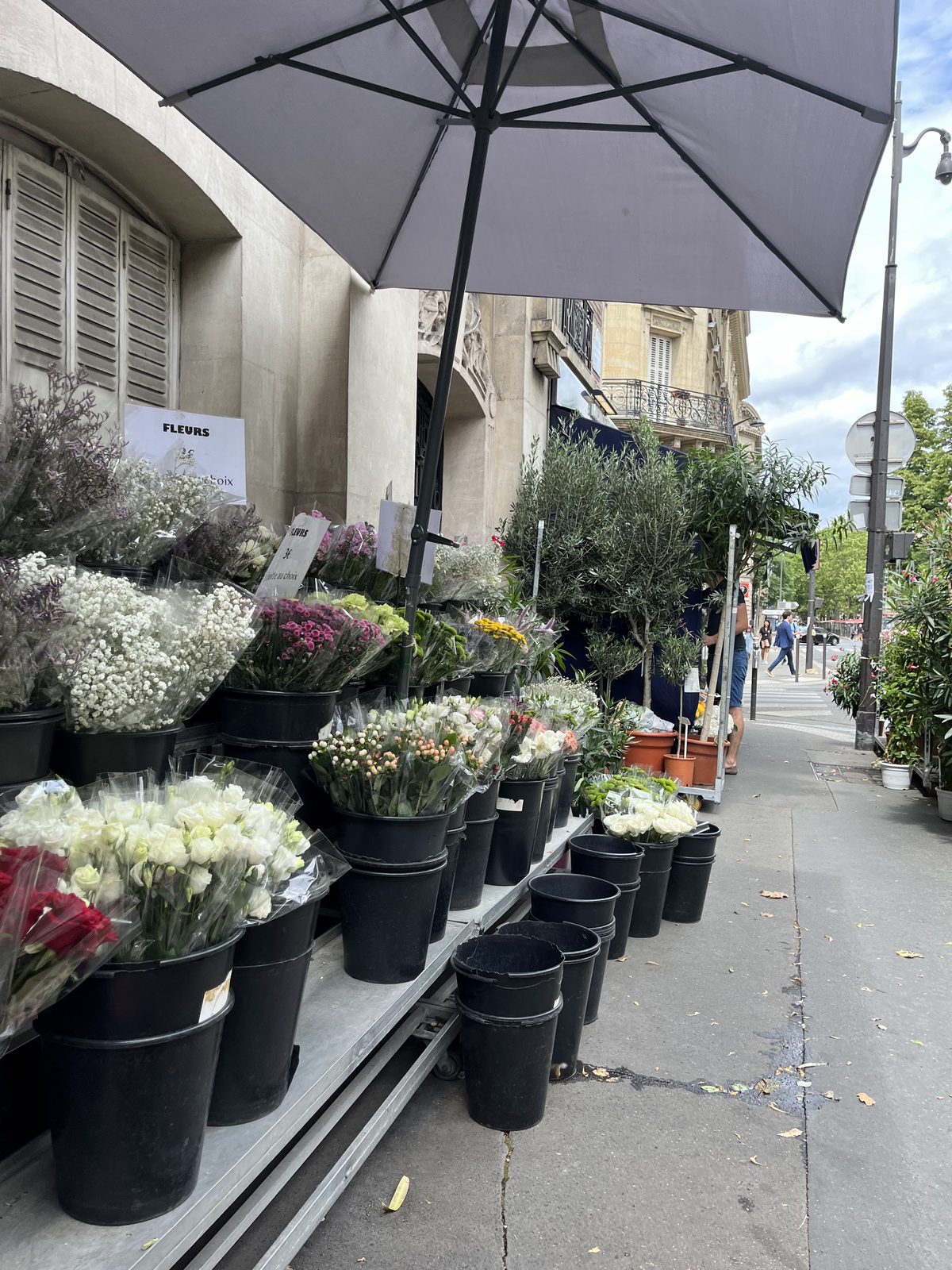 L’étal sur le trottoir du boulevard Raspail, seaux de fleurs alignés sous le parasol