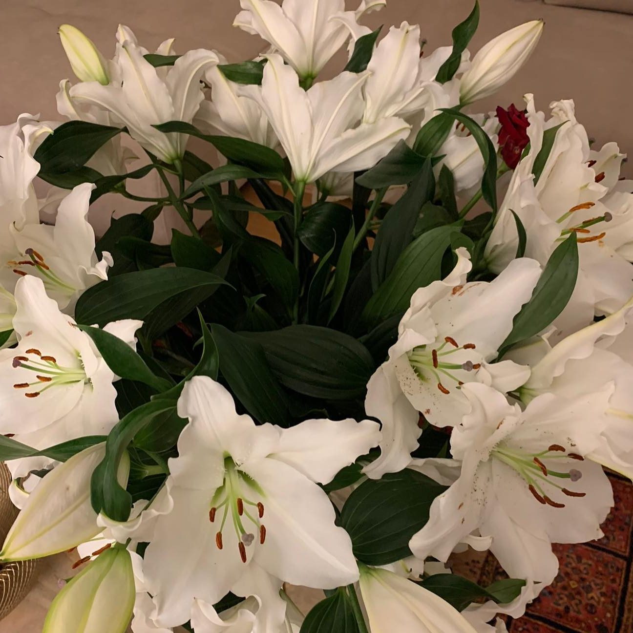 Lys blancs en fleur